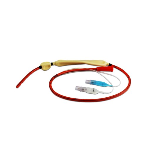 Sonda Sengstakena-Blakemore’a, producent Electroplast