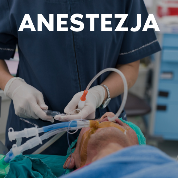 Anestezja
